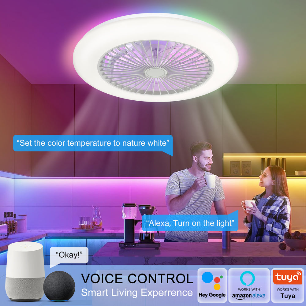 19 Inch Enclosed Low Profile RGB Ceiling Fan Works with Alexa/Google/APP