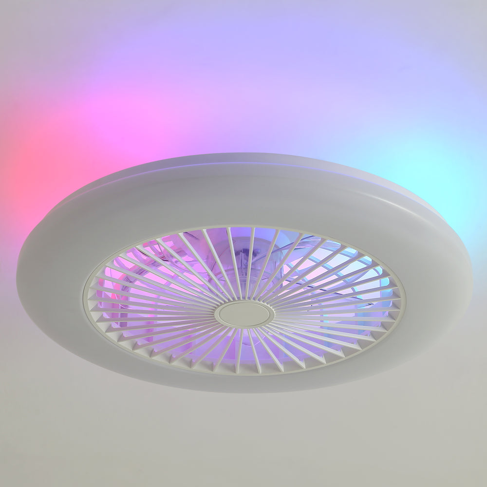 19 Inch Enclosed Low Profile RGB Ceiling Fan Works with Alexa/Google/APP