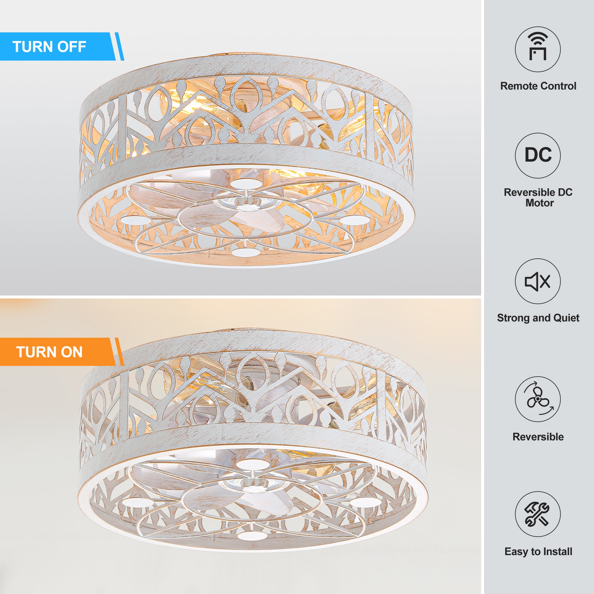 Caged ceiling fan with lights and remote control functions