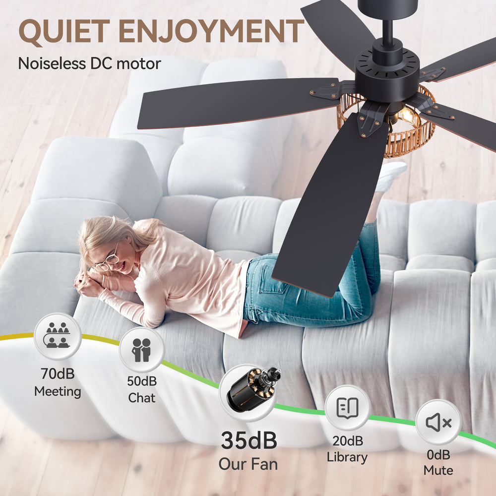 52-inch Farmhouse Ceiling Fan with Light, 5 Dual-Finish Reversible Plywood Blades, Quiet Energy-Saving DC Motor, E12 Bulb Base, 6-Speed Remote Control with Timer, Forward/Reverse Rotation, and 6" Downrod Included