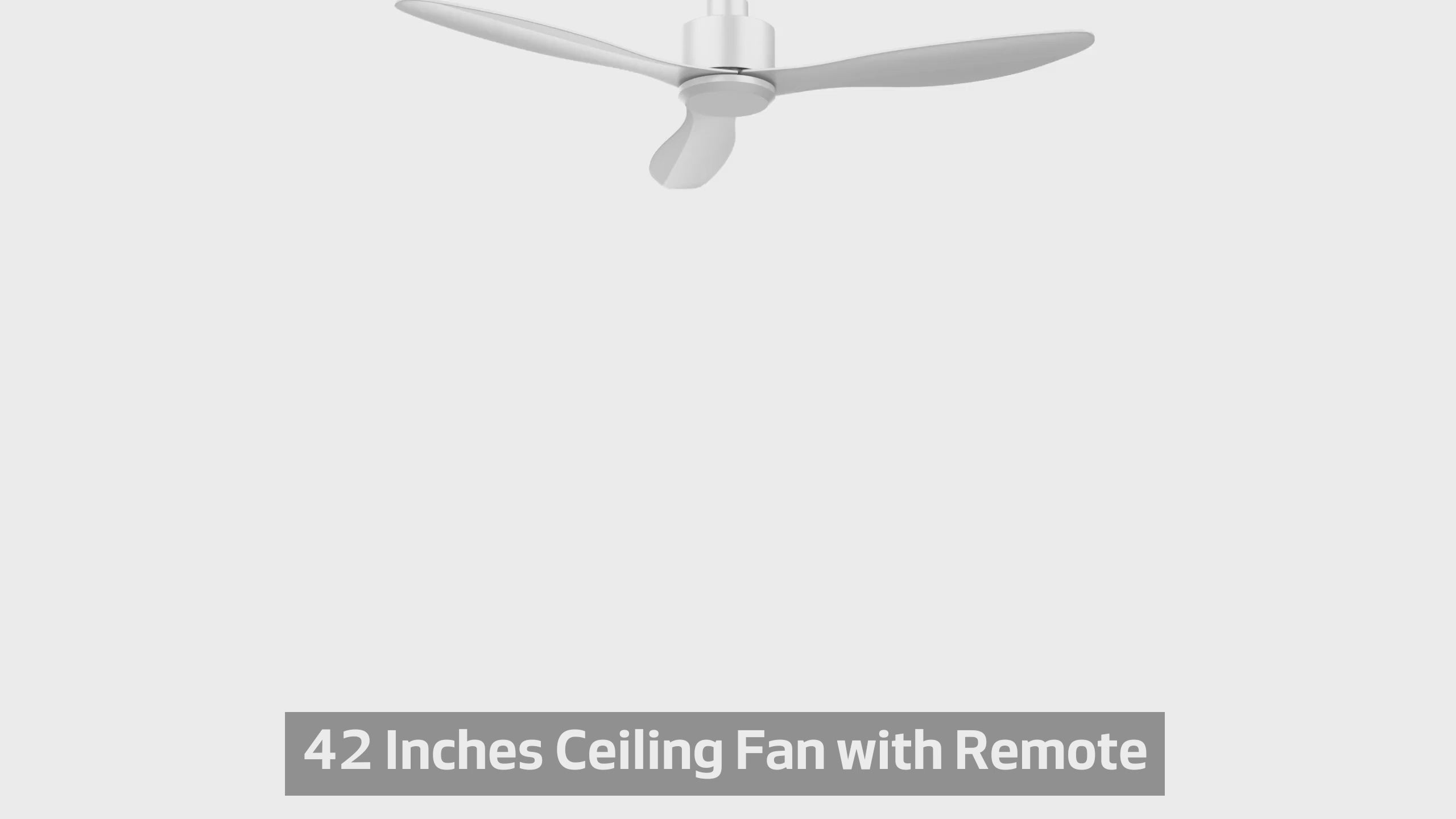42-in Black/White Ceiling Fan Remote without Light(3-Blade)