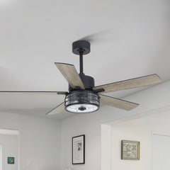 52" Iris 5 - Blade Standard Ceiling Fan with Remote Control and Light Kit Included