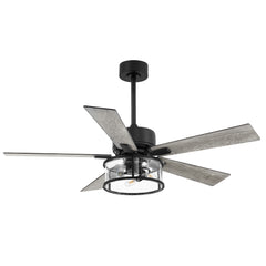 52" Crispo 5 - Blade LED Standard Ceiling Fan with Remote Control and Light Kit Included