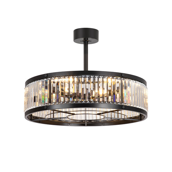 28 Inch Caged Ceiling Fan with Light & Remote Control